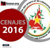 Épreuve de Langue/Language MPEPS et IPJA Catégorie B2 CENAJES 2016